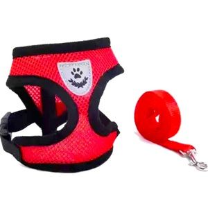 Harness set for small dogs and cats
